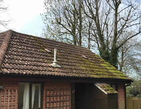 roof moss removal East Sussex