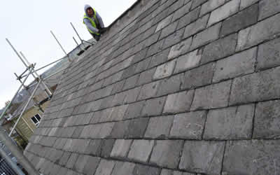 roof repair Crowborough